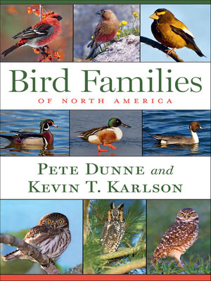 cover image of Bird Families of North America